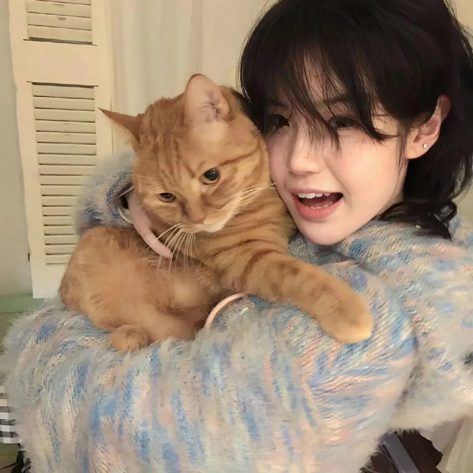 五郎八卦棍粤语